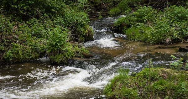 Ορεινή ροή, ποταμός βαθιά στο ορεινό δάσος, καταρράκτης Mountain Creek με φρέσκα πράσινα βρύα στις πέτρες — Φωτογραφία Αρχείου