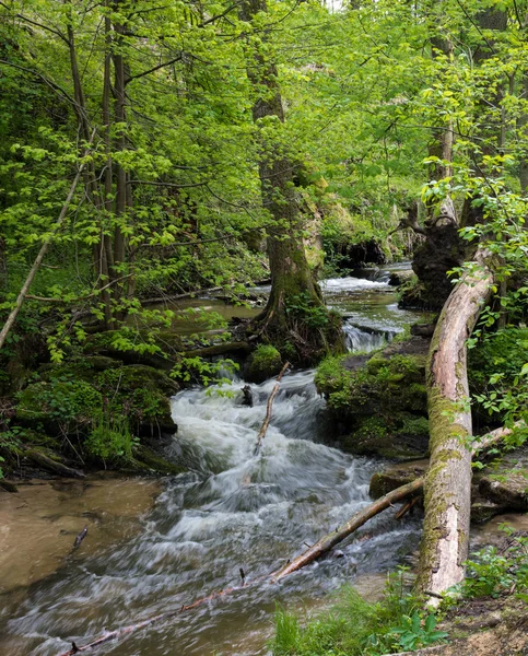 Горный ручей, река глубоко в горном лесу, каскад горных ручьев со свежей зеленой плесенью на камнях — стоковое фото