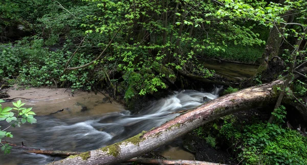 Fjällbäck, flod djupt i fjäll skog, fjällbäck kaskad med fräsch grön mossa på stenarna — Stockfoto