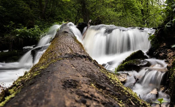 Mountain stream, River deep in mountain forest, Mountain creek cascade with fresh green moss on the stones