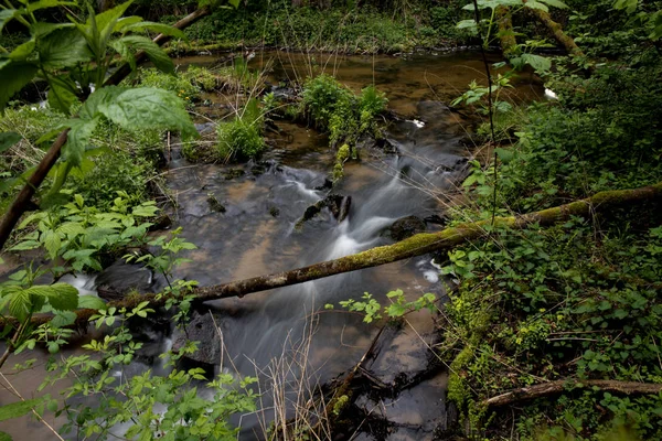 Ορεινή ροή, ποταμός βαθιά στο ορεινό δάσος, καταρράκτης Mountain Creek με φρέσκα πράσινα βρύα στις πέτρες — Φωτογραφία Αρχείου