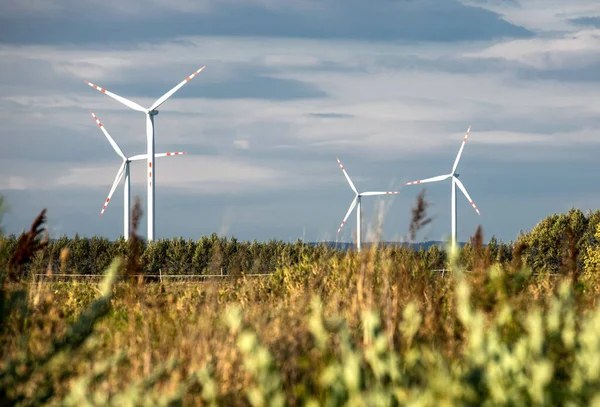 Вітрові турбіни на зелених пагорбах, Група вітрових млинів для виробництва електроенергії в зеленому — стокове фото