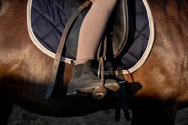 Bota em um estribo montando um cavalo, sela com estribos — Fotografia de Stock