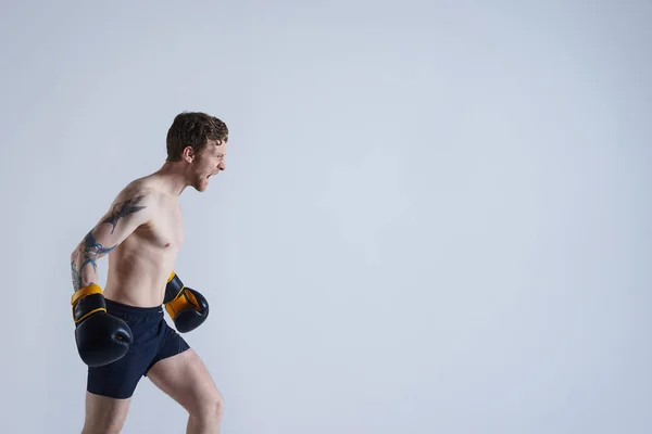 Sports and endurance concept. Professional furious young male boxer shouting, showing his readiness to beat his opponent. Attractive angry bearded kickboxer wearing trunks and gloves, training in gym