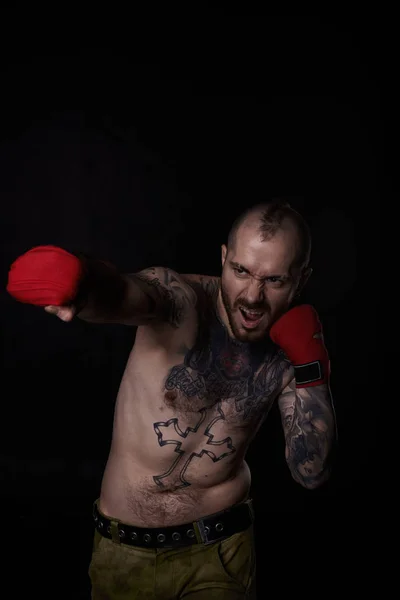 Studio shot of aggressive professional shirtless boxer boxing, wearing military jeans and red straps on fists, screaming punches invisible enemy. Sports and healthy lifestyle