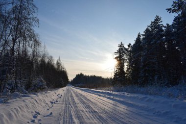 Kış ormanında güneşli bir gün