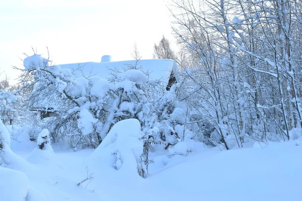 Casa Nieve Camino Nieve — Foto de Stock