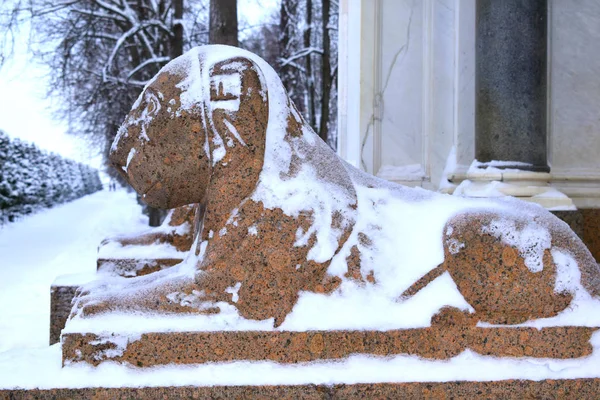 Scultura Leone Granito — Foto Stock