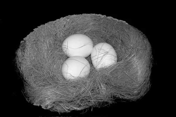 巣の中の鶏の卵 — ストック写真