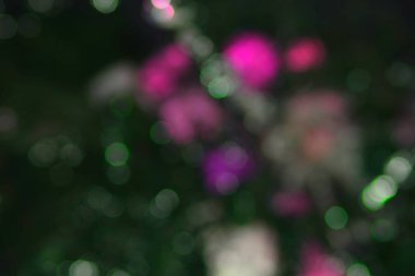 koyu arka plan üzerinde renkli ışıklar