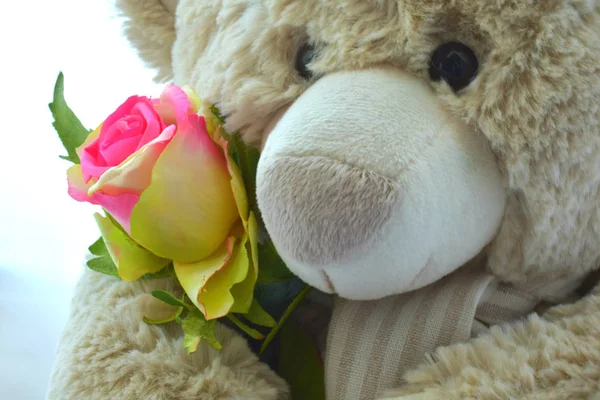 Cute Stuffed Bear Toy — Stock Photo, Image