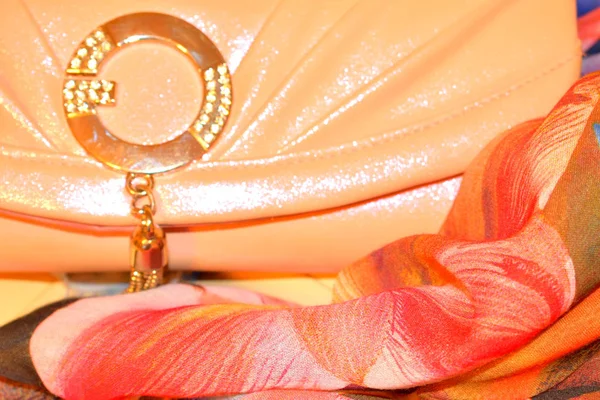 Kleine Elegante Damentaschen — Stockfoto