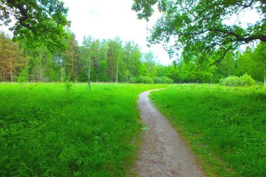 Yürüyüş ve spor için park