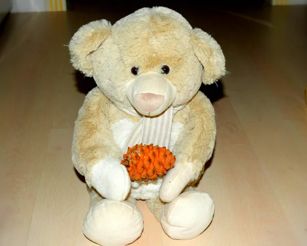 Teddybär Mit Tannenzapfen — Stockfoto