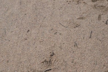 yolun soyut gri arka plan