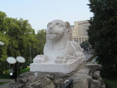  yaz aylarında Park manzara