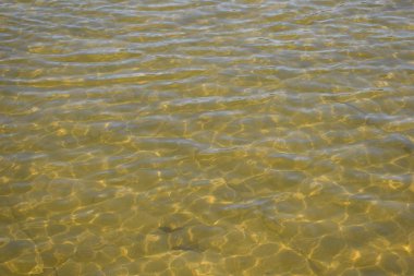  soyut su arka plan, nehir