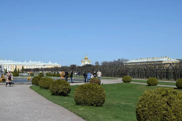 Gente Caminando Parque — Foto de Stock