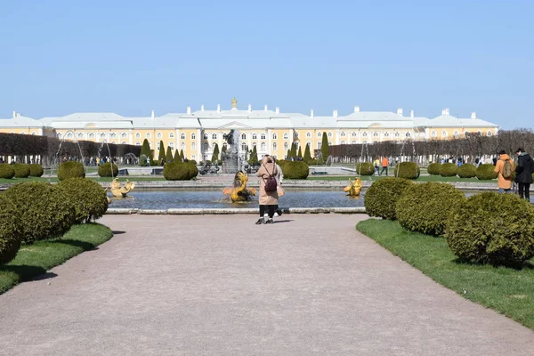 Folk Som Går Parken – stockfoto