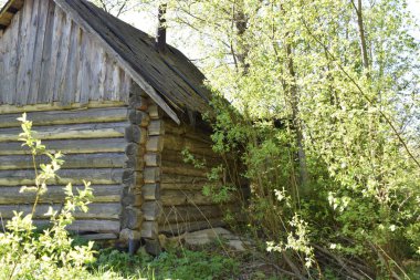 Ormanda terk edilmiş eski ahşap bir ev.