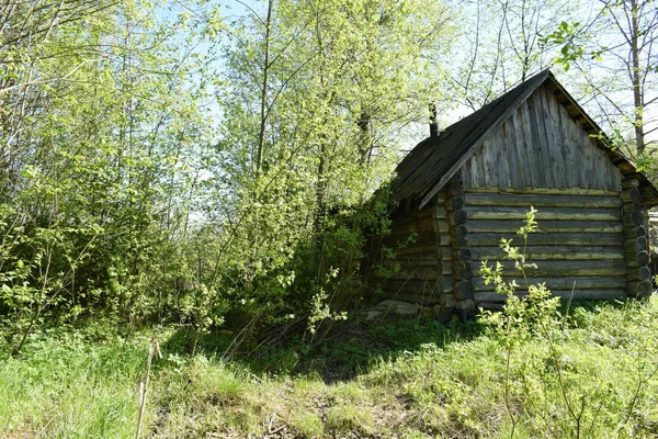 Altes Verlassenes Holzhaus Wald — Stockfoto