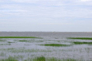 deniz kıyısı ve çim ile manzara