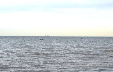 deniz manzarası, kum, kayalar, kıyı, martılar