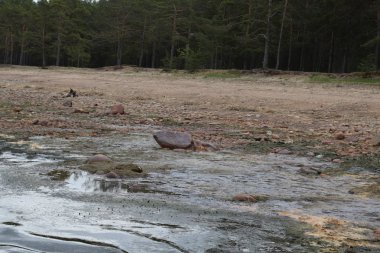 sahilde martılar, suda taşlar