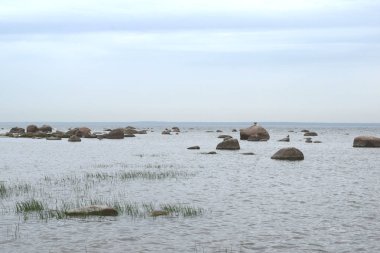 sahilde martılar, suda taşlar