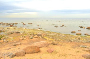 sahilde martılar, suda taşlar