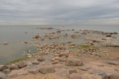 sahilde martılar, suda taşlar