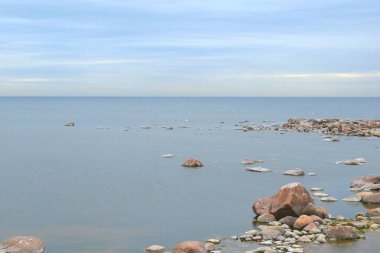 sahilde martılar, suda taşlar