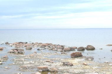 sahilde martılar, suda taşlar