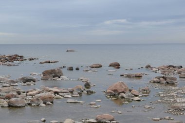 sahilde martılar, suda taşlar