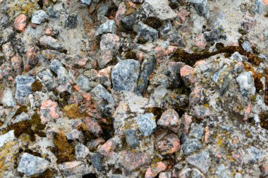 Kumsalda deniz kabukları