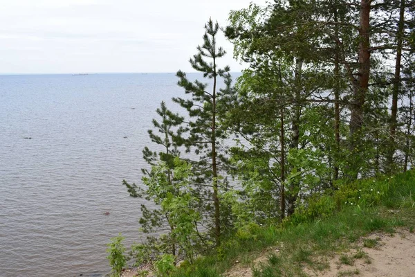 Blick Auf Das Meer Und Die Felsen — Stockfoto