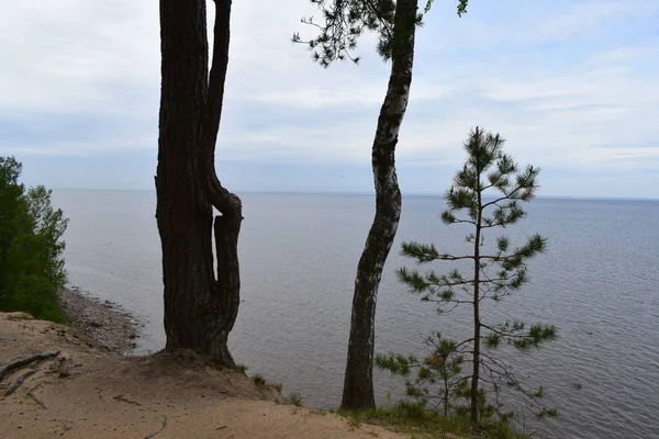 Blick Auf Das Meer Und Die Felsen — Stockfoto