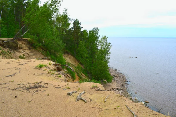 Blick Auf Das Meer Und Die Felsen — Stockfoto