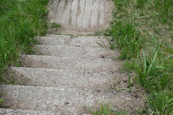 Den Gamla Trappan Trapporna Igenvuxna Med Gräs — Stockfoto