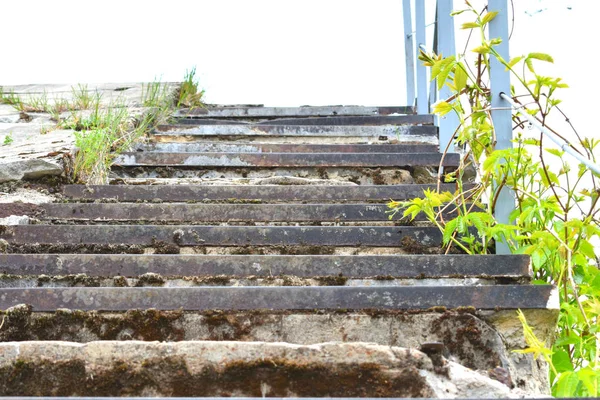 Vieil Escalier Les Escaliers Sont Recouverts Herbe — Photo