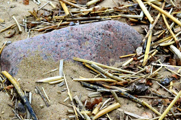 Piedras Hierba Seca Orilla Del Mar —  Fotos de Stock