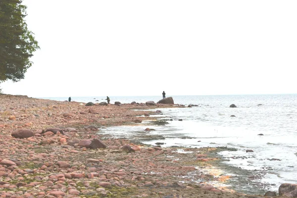 Strand Kilátás Halászok Strandon Horgászbotok — Stock Fotó