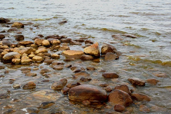 Zeegezicht Meeuwen Het Strand Rotsen Het Water — Stockfoto