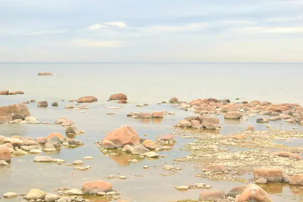 Γλάροι Στην Παραλία Πέτρες Στο Νερό — Φωτογραφία Αρχείου