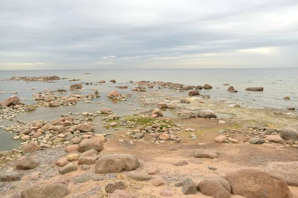 Gaviotas Playa Piedras Agua — Foto de Stock