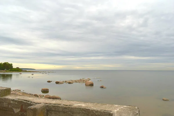 Mouettes Sur Plage Pierres Dans Eau — Photo