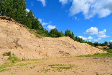 dağlarda ağaçlar ve kaya 'yuvaları kırlangıçlar