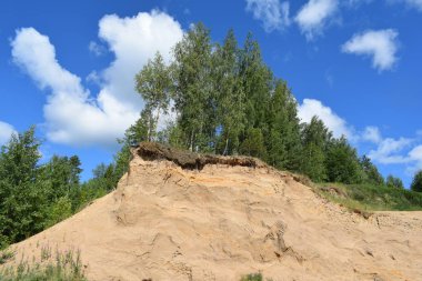 dağlarda ağaçlar ve kaya 'yuvaları kırlangıçlar