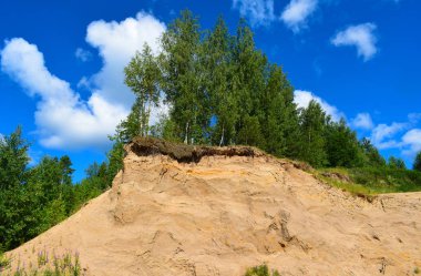 dağlarda ağaçlar ve kaya 'yuvaları kırlangıçlar