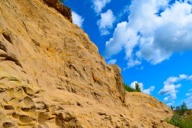 dağlarda ağaçlar ve kaya 'yuvaları kırlangıçlar